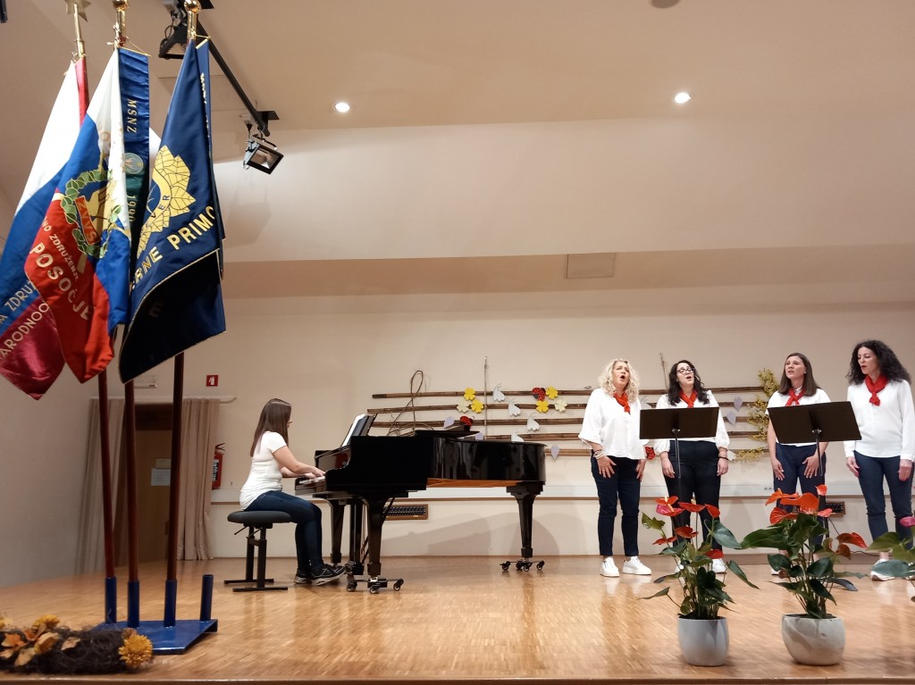 Tolmin - slovesnost ob Dnevu upora proti okupatorju