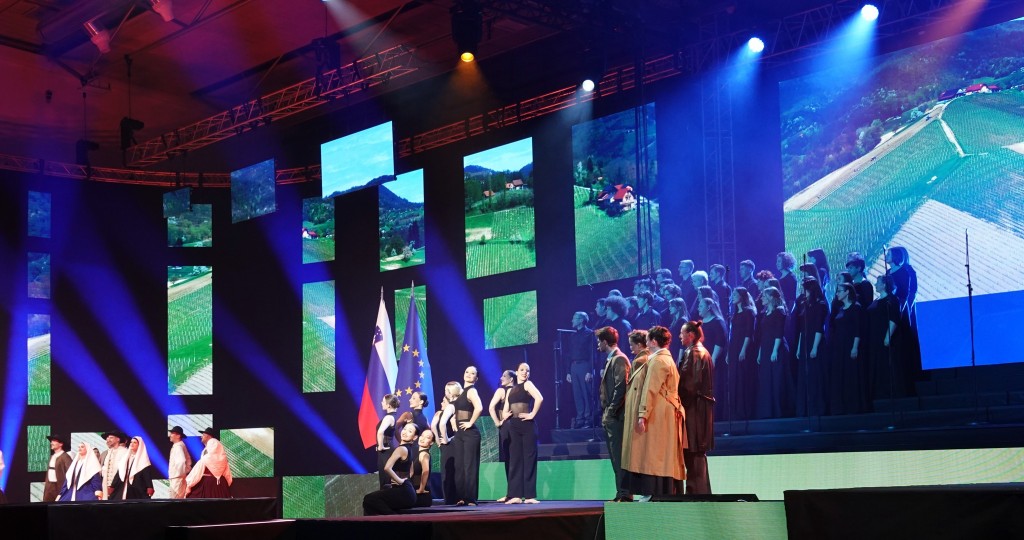 Brežice, državna slovesnost ob Dnevu upora proti okupatoprju